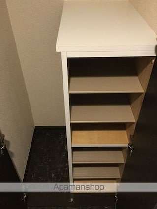 レオネクストあさか野[1K/31.62m2]の収納1