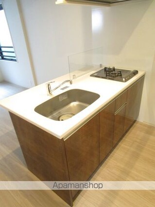 東京都杉並区堀ノ内２丁目[2LDK/40.4m2]のキッチン
