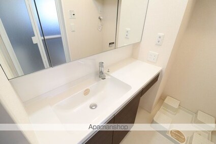 ルイティア　ＩＩ[1LDK/36.66m2]の洗面所