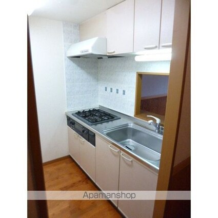 サンタバレー[2LDK/54.45m2]のキッチン