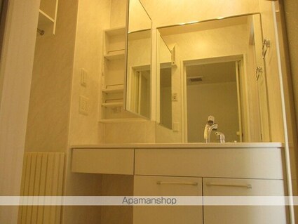 フェニックス[2LDK/53.32m2]の洗面所