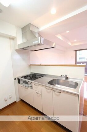 ＣＡＳＡ　ＡＮＧＥＬＩＣＡ[1K/37.2m2]のキッチン