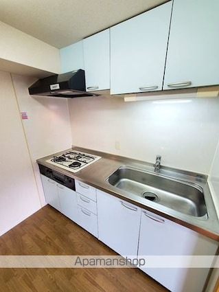 ドミール田端[1LDK/60.56m2]のキッチン