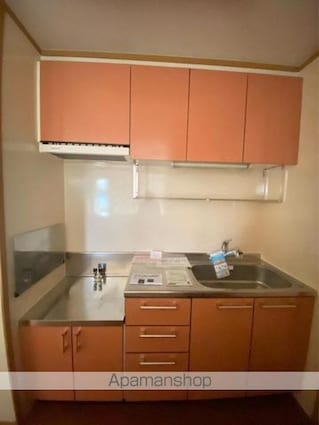 アメニティーハイツ川島Ⅱ[1LDK/40.72m2]のキッチン