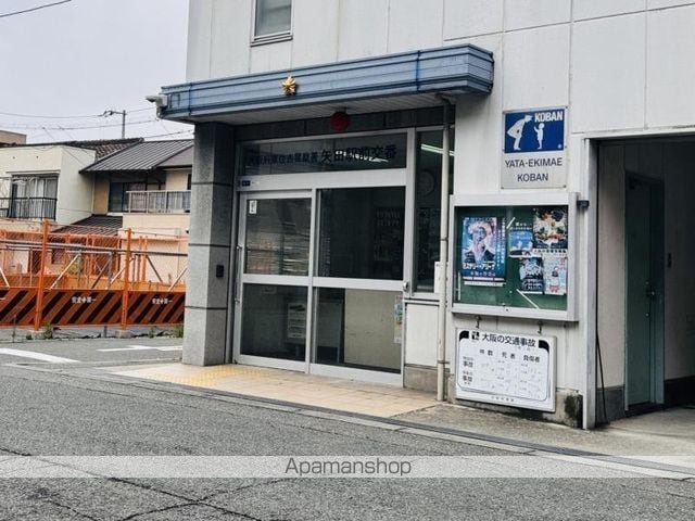 F asecia copperの周辺写真