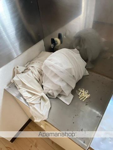 コート多賀Ⅲ 404 ｜ 香川県高松市多賀町３丁目5-17（賃貸マンション1K・4階・19.44㎡） その25