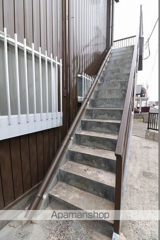 クローバーのその他写真