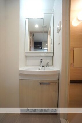 プレサンス太閤通ファシール[1K/23.79m2]の洗面所