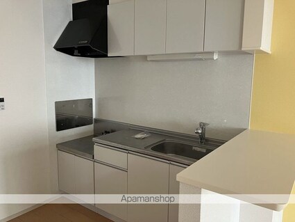 愛媛県四国中央市三島金子３丁目[2LDK/57.21m2]のキッチン