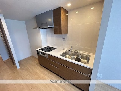 トラープランド蒼麗館[2LDK/51.5m2]のキッチン