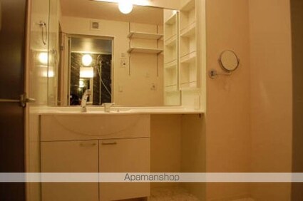 セジュール・アルス[1LDK/42m2]の洗面所