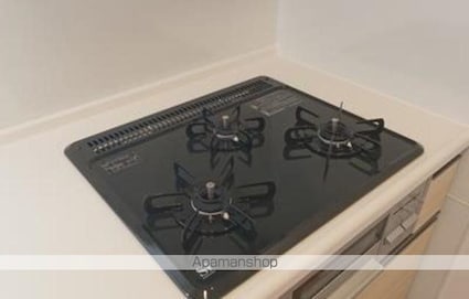 フェールメゾン西大島[2LDK/58.62m2]のその他内装4