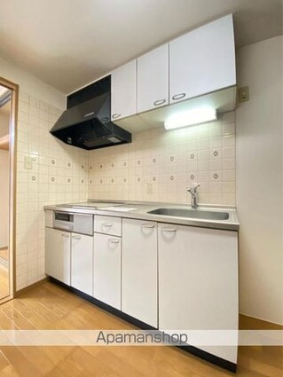 エステート石田Ａ[1K/29.88m2]のキッチン