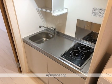 クレイノファレノプシス[1K/27.64m2]のキッチン