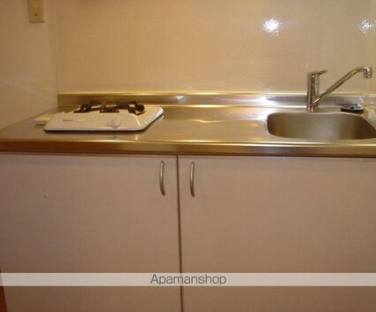 グリーンコート江古田[1K/21.86m2]のキッチン