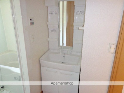 ブルーラグーン　Ⅱ[1LDK/46.71m2]の洗面所