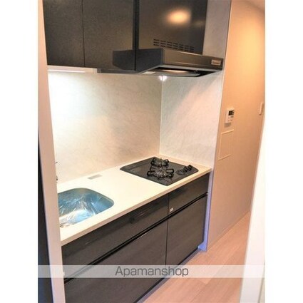 Ｂｒｉｌｌｉａｎｔ　Ｖｉｅｗ　Ｃｅｎｔｒａｌ　Ｐａｒｋ[1K/29.23m2]のキッチン