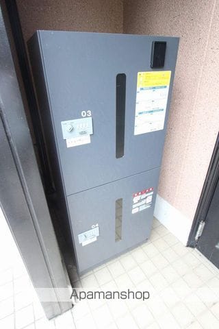ブルーフォックスのその他写真