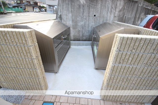 プロキオンのその他写真