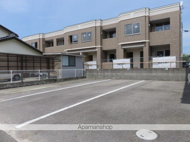 コスモスのその他写真