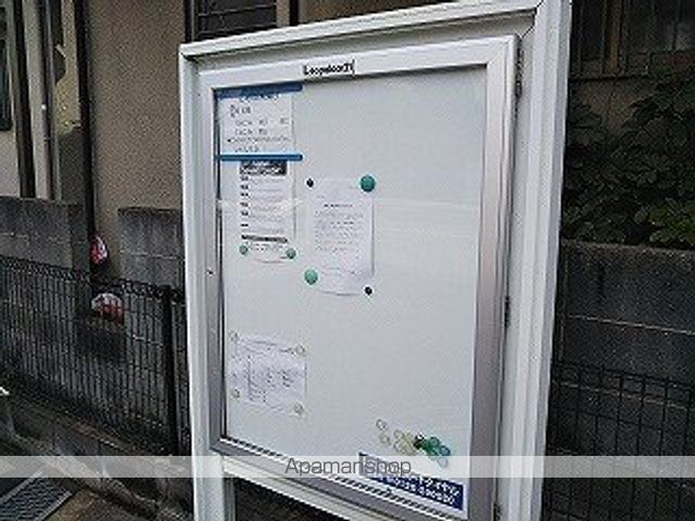 レオネクストスィートストロベリのその他写真