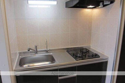 レジデンスヒルズ　ザ　ワカヤマ[1K/30.08m2]のキッチン