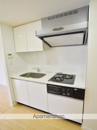 パークアクシス御茶ノ水ステージ[1LDK/41.39m2]のキッチン