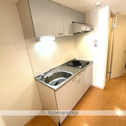 プランドール　ソフィア[1K/28.98m2]のキッチン