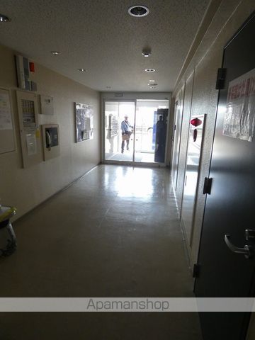 カノントヨヒラのその他写真