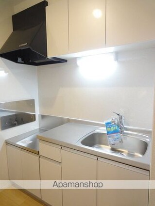 グランバレーⅣ[1K/31.79m2]のキッチン