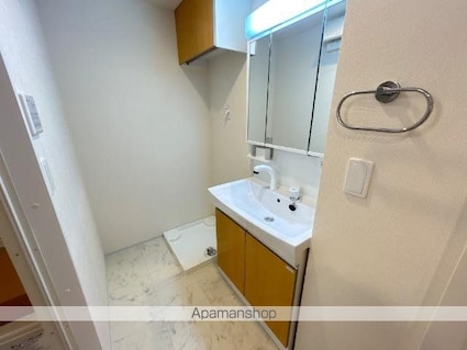 ハイムマルセン日野[1LDK/31.77m2]の洗面所