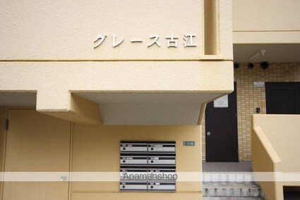 グレース古江[2LDK/57.15m2]のエントランス