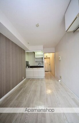 メゾン・ド・ロアイヤル[1R/13.78m2]の内装1