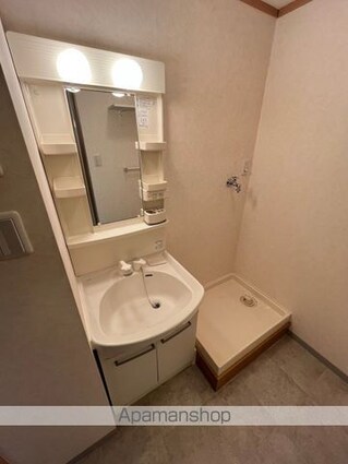 プルミエールクラス[1LDK/46.02m2]の洗面所