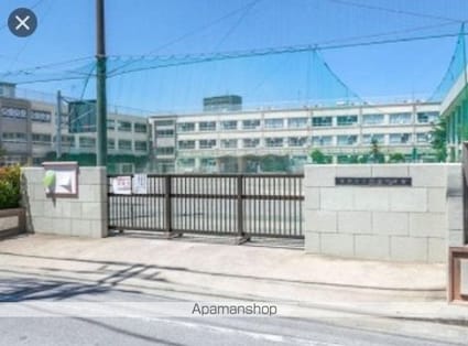 メゾン・エーレ柴又[1K/24.84m2]の周辺4