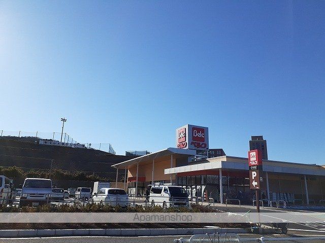 クリザンテム ピエールの周辺写真
