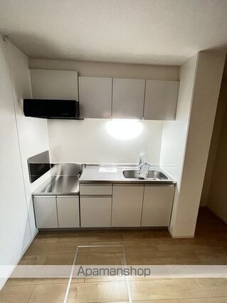 パレ・エクセランⅤ[2DK/46.06m2]のキッチン