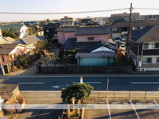 アピカールカミスのその他写真