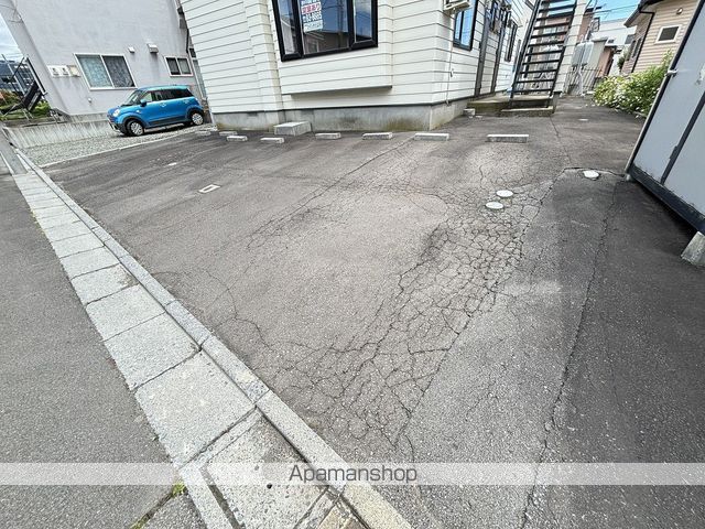 ツインかたばみのその他写真