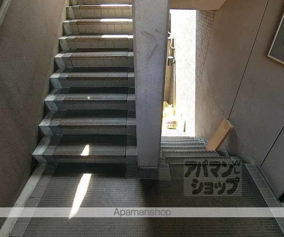 ゴールドクレストのその他写真