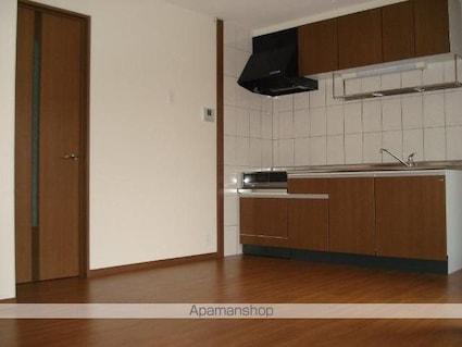 ルミナス・新和[1LDK/45.68m2]のキッチン1