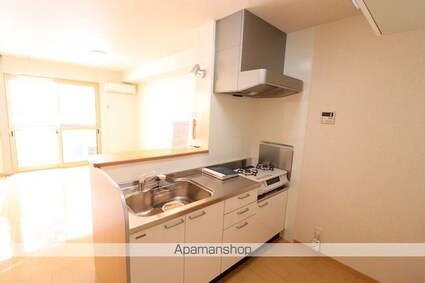 レーベンセイナン[1LDK/33.39m2]のキッチン