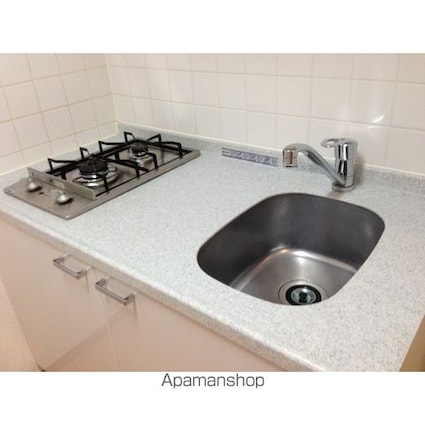 プレール・ドゥーク木場親水公園[1K/20.59m2]のキッチン1