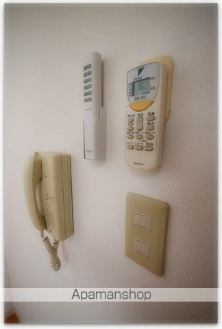 ウイルドウナンバWIの内装写真