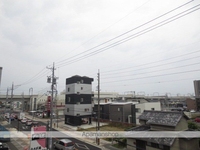 オリーブのその他写真