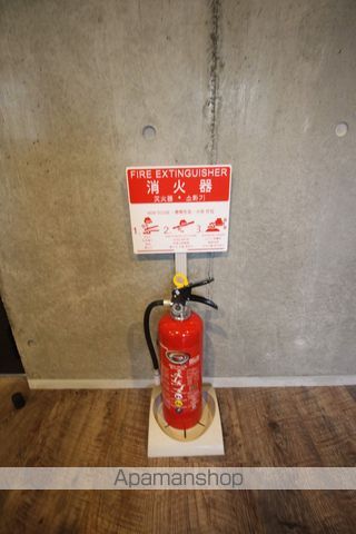LEMONED N31のその他写真