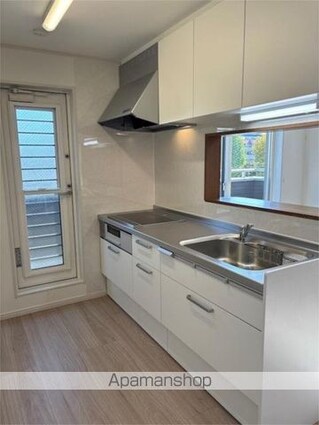 サンライズ大山ＩＩ[2LDK/49.89m2]のキッチン