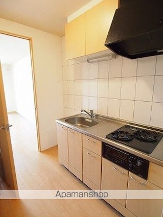 セレーノ[1K/29.75m2]のキッチン