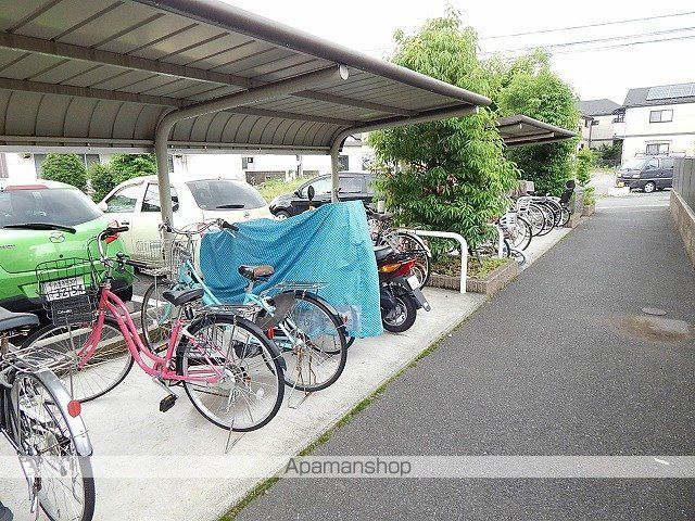 アムール 花水木のその他写真