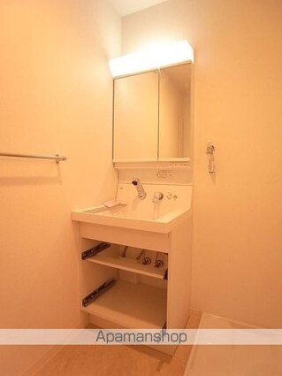 アミクール日野[1LDK/41m2]の洗面所